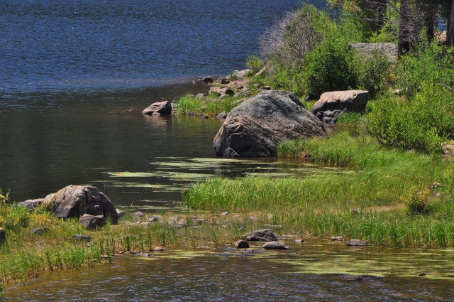Monarch Lake